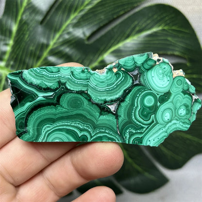 Eyes Malachite Mineral Specimen Natural Gem Home Garden Spirit Decoration Gift Witchcraft Altar Prayer Crystal and Stone Healing