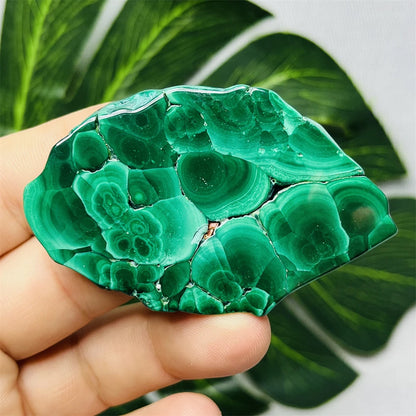 Eyes Malachite Mineral Specimen Natural Gem Home Garden Spirit Decoration Gift Witchcraft Altar Prayer Crystal and Stone Healing