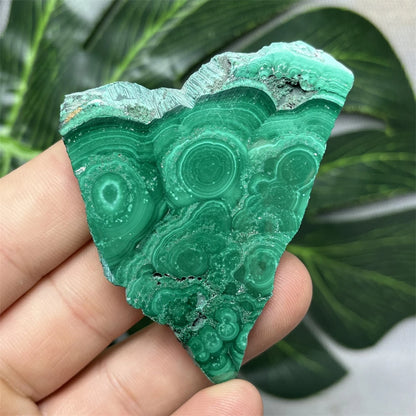 Eyes Malachite Mineral Specimen Natural Gem Home Garden Spirit Decoration Gift Witchcraft Altar Prayer Crystal and Stone Healing