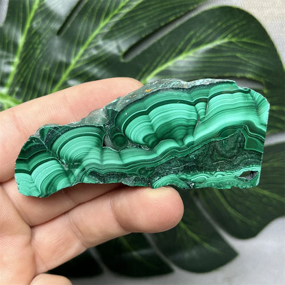 Eyes Malachite Mineral Specimen Natural Gem Home Garden Spirit Decoration Gift Witchcraft Altar Prayer Crystal and Stone Healing
