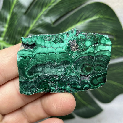 Eyes Malachite Mineral Specimen Natural Gem Home Garden Spirit Decoration Gift Witchcraft Altar Prayer Crystal and Stone Healing