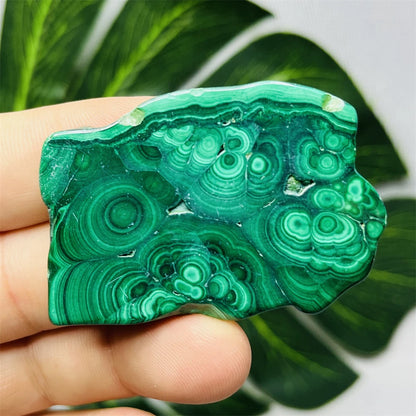 Eyes Malachite Mineral Specimen Natural Gem Home Garden Spirit Decoration Gift Witchcraft Altar Prayer Crystal and Stone Healing