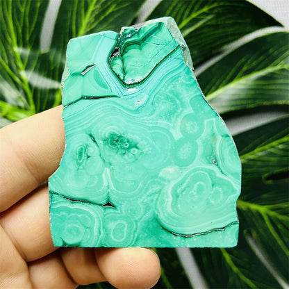 Eyes Malachite Mineral Specimen Natural Gem Home Garden Spirit Decoration Gift Witchcraft Altar Prayer Crystal and Stone Healing