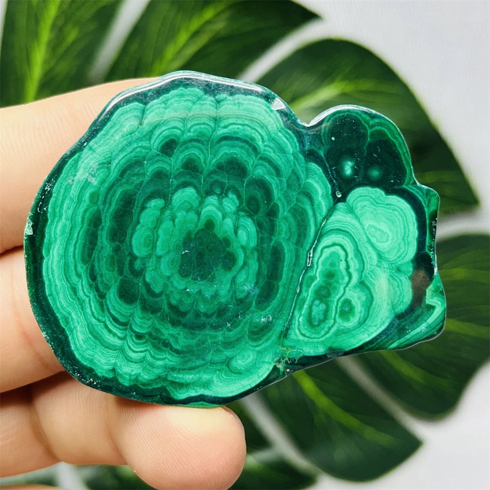 Eyes Malachite Mineral Specimen Natural Gem Home Garden Spirit Decoration Gift Witchcraft Altar Prayer Crystal and Stone Healing