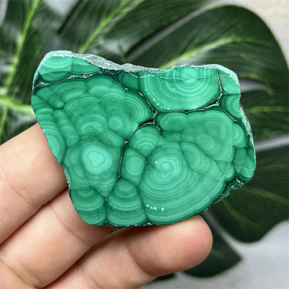Eyes Malachite Mineral Specimen Natural Gem Home Garden Spirit Decoration Gift Witchcraft Altar Prayer Crystal and Stone Healing