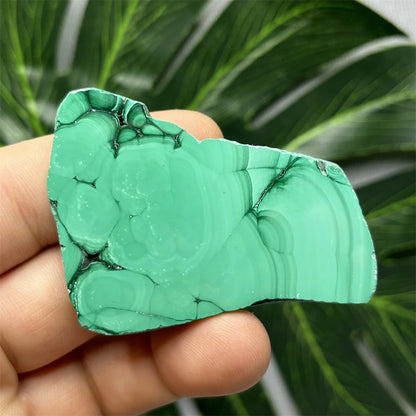 Eyes Malachite Mineral Specimen Natural Gem Home Garden Spirit Decoration Gift Witchcraft Altar Prayer Crystal and Stone Healing
