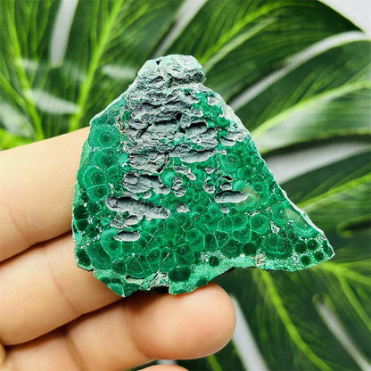 Eyes Malachite Mineral Specimen Natural Gem Home Garden Spirit Decoration Gift Witchcraft Altar Prayer Crystal and Stone Healing