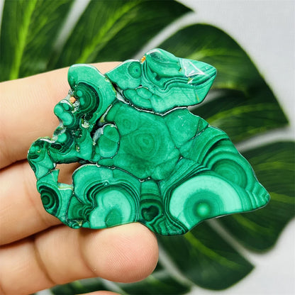 Eyes Malachite Mineral Specimen Natural Gem Home Garden Spirit Decoration Gift Witchcraft Altar Prayer Crystal and Stone Healing