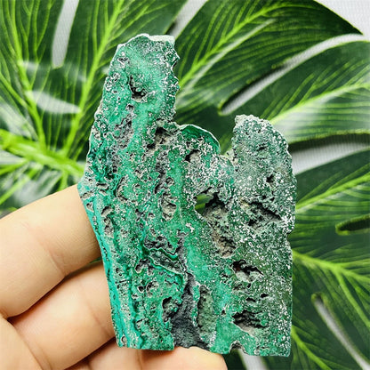 Eyes Malachite Mineral Specimen Natural Gem Home Garden Spirit Decoration Gift Witchcraft Altar Prayer Crystal and Stone Healing