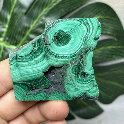 Eyes Malachite Mineral Specimen Natural Gem Home Garden Spirit Decoration Gift Witchcraft Altar Prayer Crystal and Stone Healing