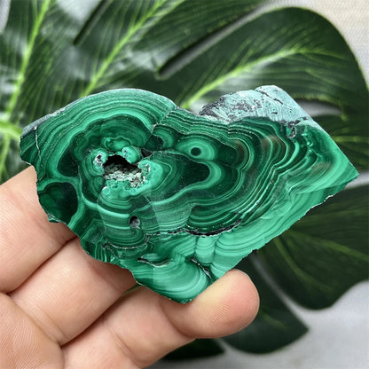 Eyes Malachite Mineral Specimen Natural Gem Home Garden Spirit Decoration Gift Witchcraft Altar Prayer Crystal and Stone Healing
