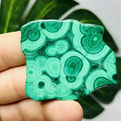 Eyes Malachite Mineral Specimen Natural Gem Home Garden Spirit Decoration Gift Witchcraft Altar Prayer Crystal and Stone Healing