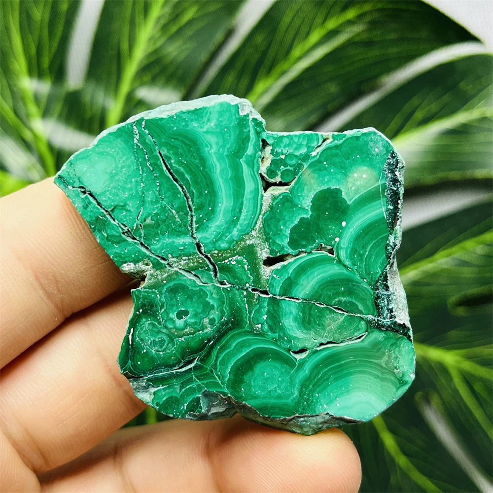 Eyes Malachite Mineral Specimen Natural Gem Home Garden Spirit Decoration Gift Witchcraft Altar Prayer Crystal and Stone Healing