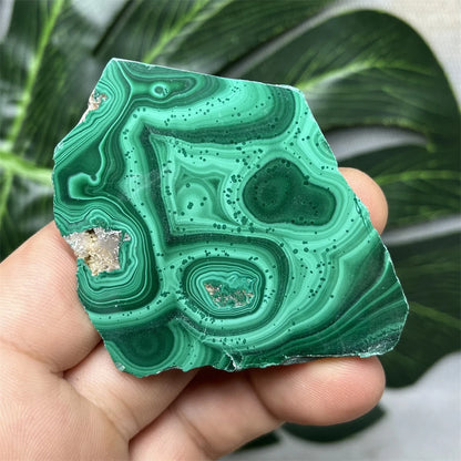 Eyes Malachite Mineral Specimen Natural Gem Home Garden Spirit Decoration Gift Witchcraft Altar Prayer Crystal and Stone Healing