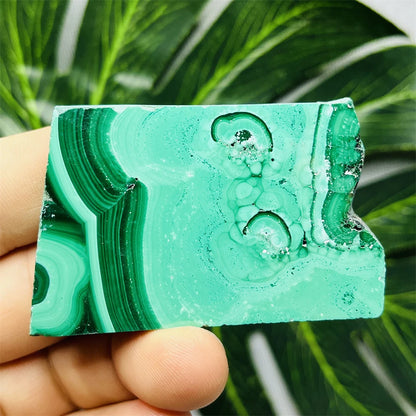 Eyes Malachite Mineral Specimen Natural Gem Home Garden Spirit Decoration Gift Witchcraft Altar Prayer Crystal and Stone Healing