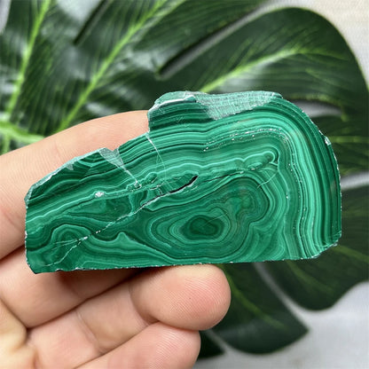 Eyes Malachite Mineral Specimen Natural Gem Home Garden Spirit Decoration Gift Witchcraft Altar Prayer Crystal and Stone Healing
