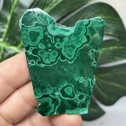 Eyes Malachite Mineral Specimen Natural Gem Home Garden Spirit Decoration Gift Witchcraft Altar Prayer Crystal and Stone Healing