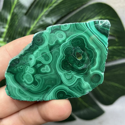 Eyes Malachite Mineral Specimen Natural Gem Home Garden Spirit Decoration Gift Witchcraft Altar Prayer Crystal and Stone Healing
