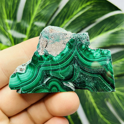 Eyes Malachite Mineral Specimen Natural Gem Home Garden Spirit Decoration Gift Witchcraft Altar Prayer Crystal and Stone Healing