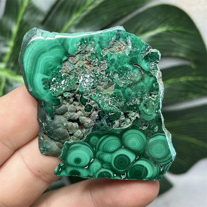 Eyes Malachite Mineral Specimen Natural Gem Home Garden Spirit Decoration Gift Witchcraft Altar Prayer Crystal and Stone Healing