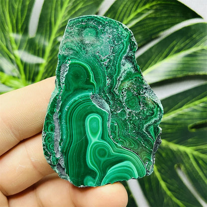 Eyes Malachite Mineral Specimen Natural Gem Home Garden Spirit Decoration Gift Witchcraft Altar Prayer Crystal and Stone Healing